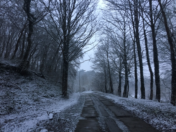 Grand-Couronne, sentier des Essarts.